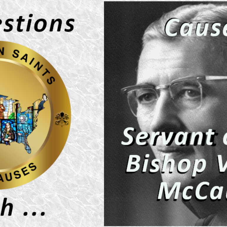 67d79f32444244ee7f38ce59_5 Question Vincent McCauley